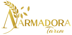 Armadora Tarım